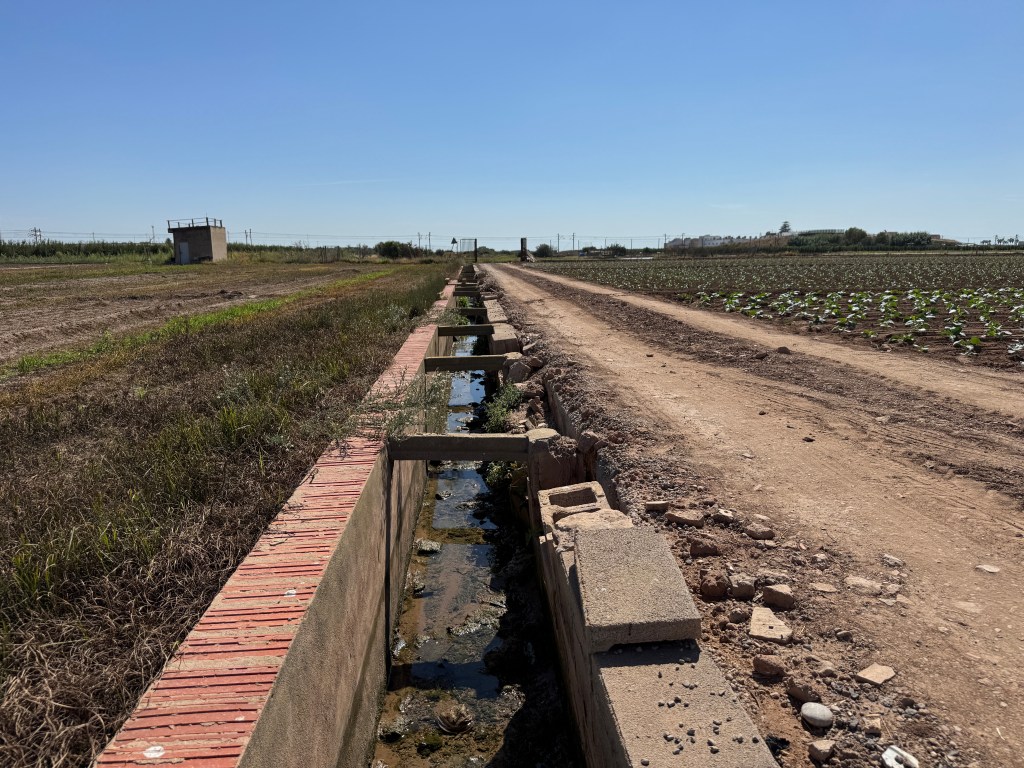 L’Ajuntament d’Albalat dels Sorells continua invertint en la millora de les infraestructures agràries malgrat la supressió d’ajudes de la&nbsp;Generalitat.